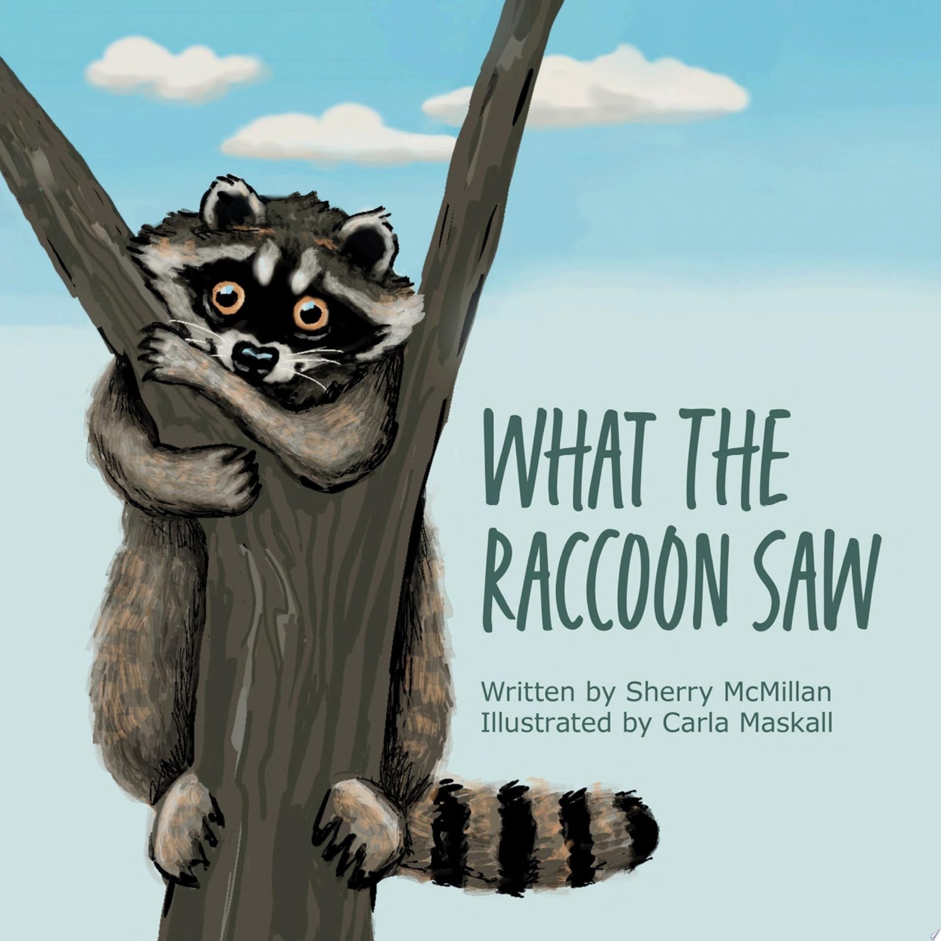 What the Raccoon Saw