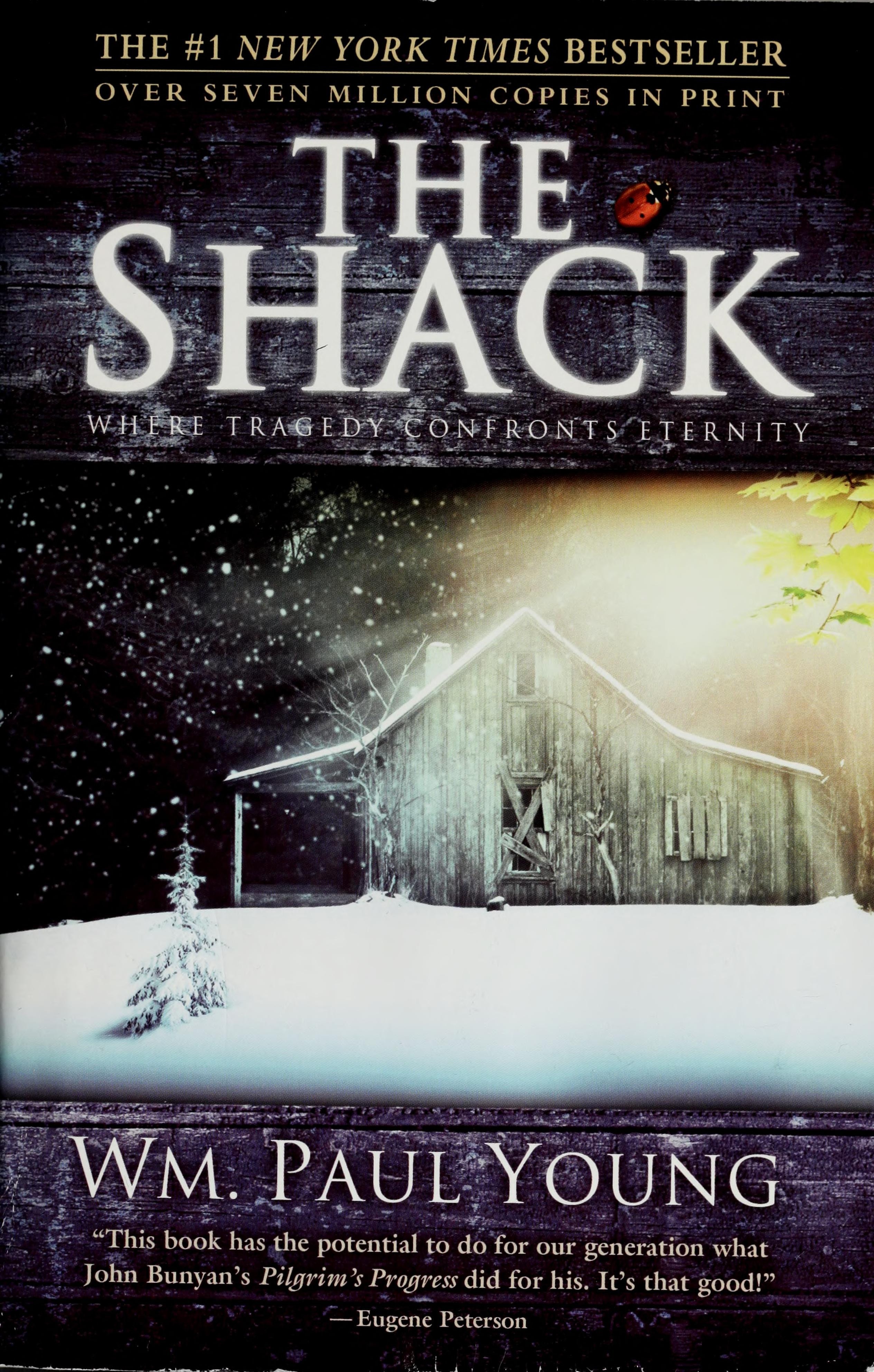 The Shack: Where Tragedy Confronts Eternity
