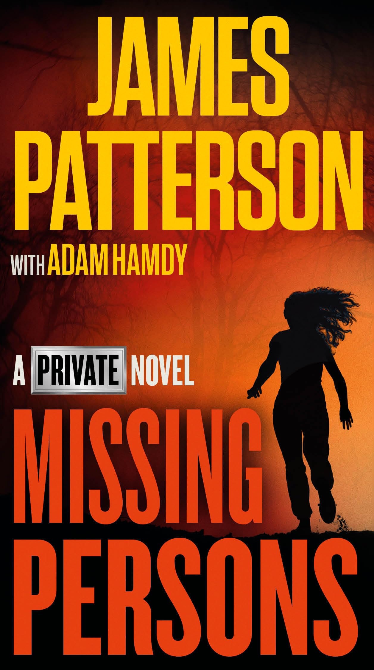 Missing Persons: A Private Novel