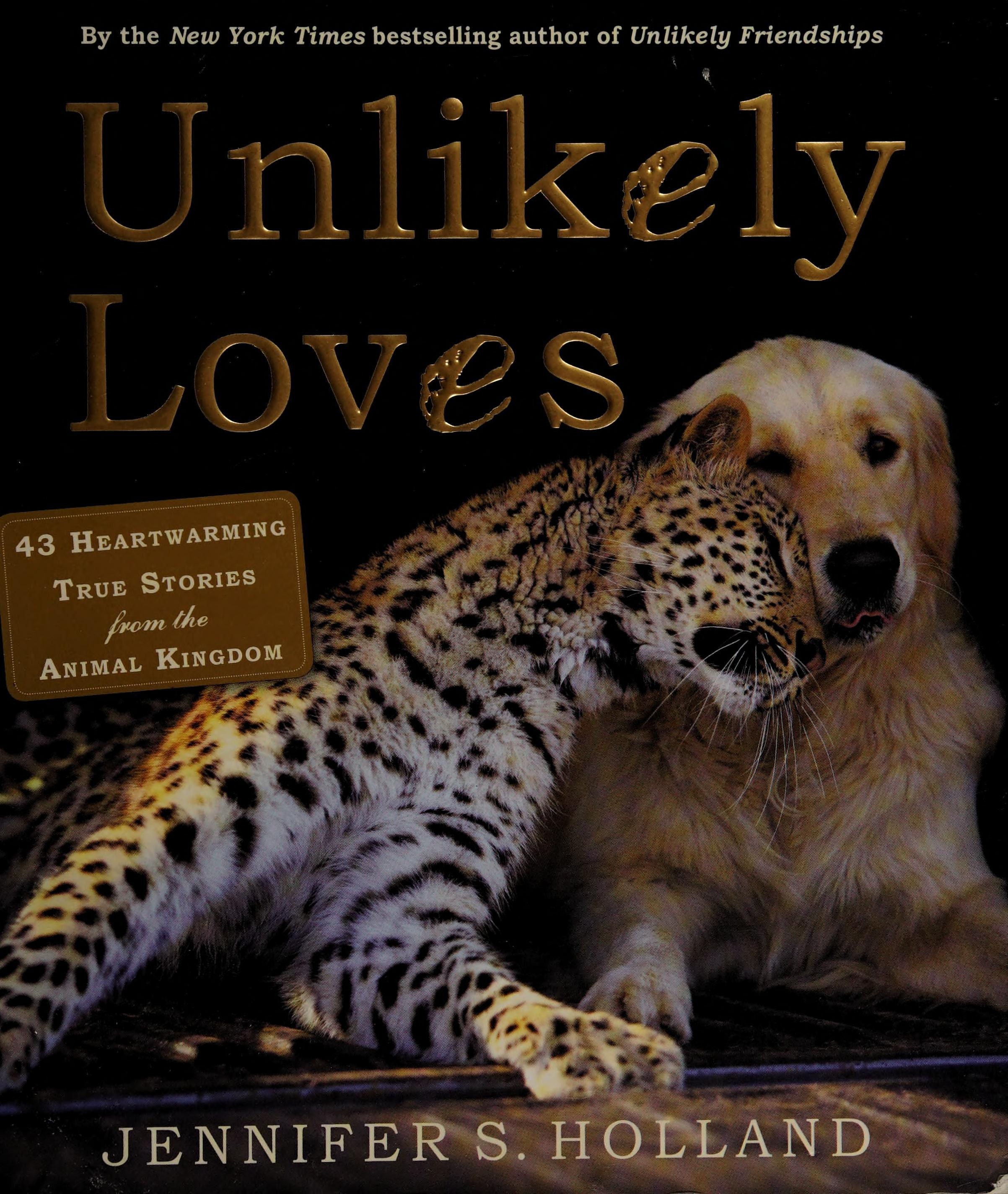 Unlikely Loves 43 Heartwarming True Stories from the Animal Kingdom