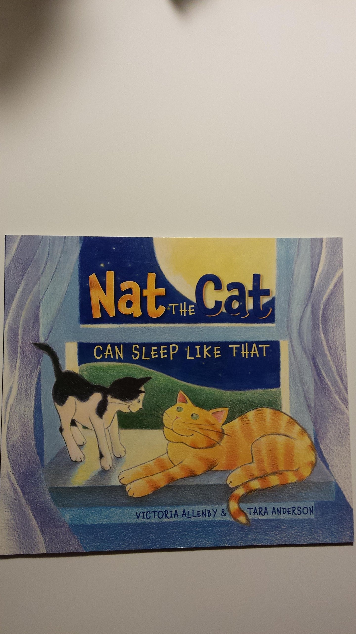 Nat The Cat Can Sleep Like That