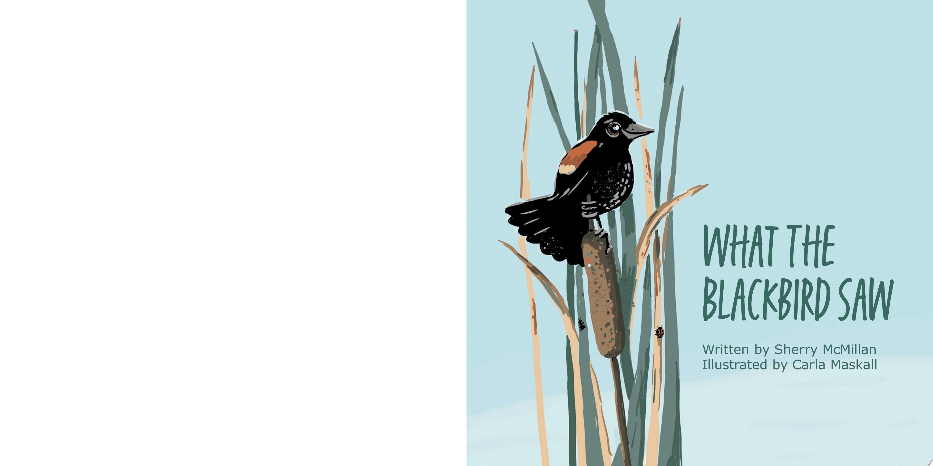 What the Blackbird Saw