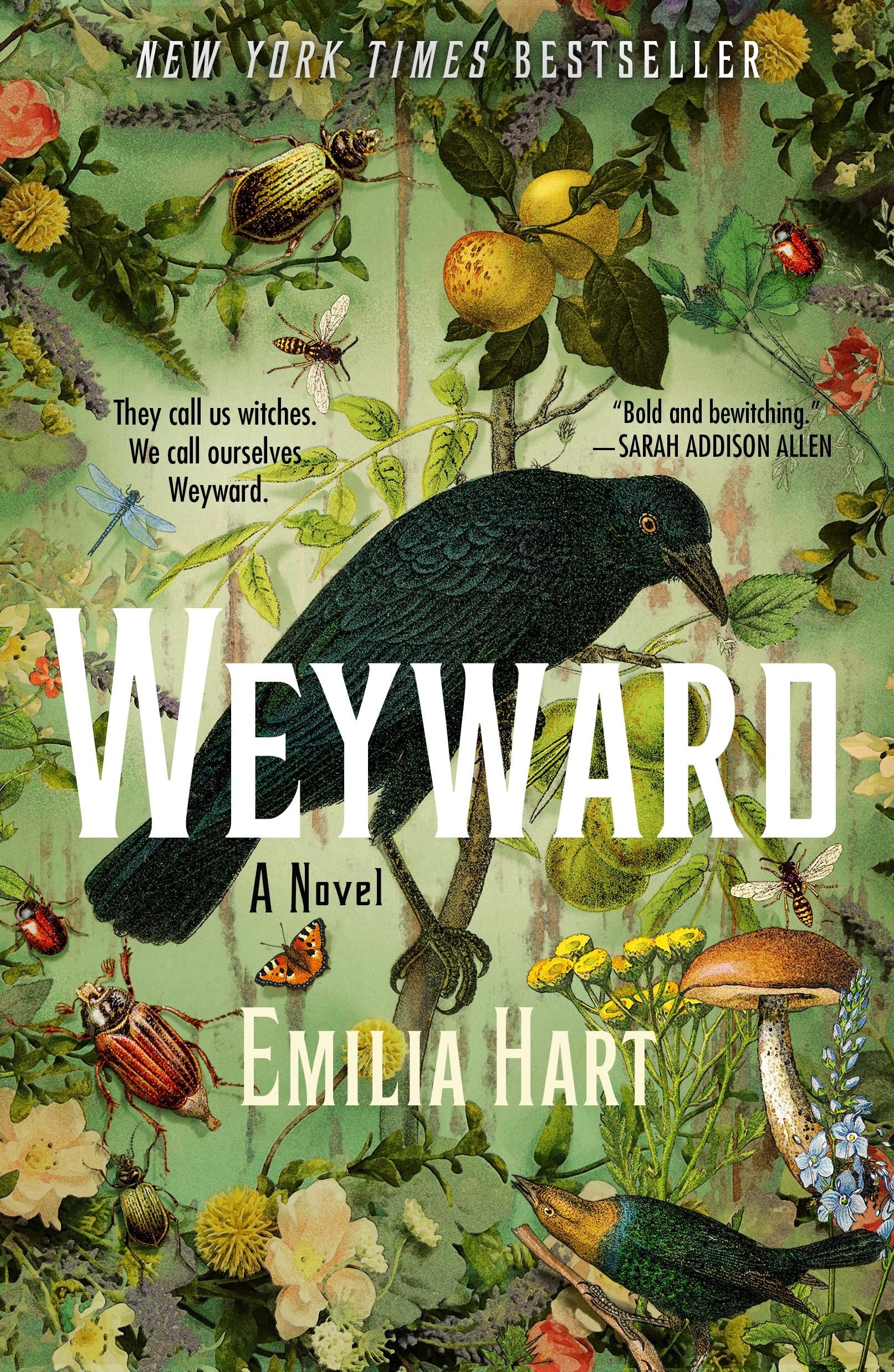 Weyward A Novel