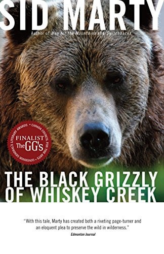 The black grizzly of Whiskey Creek