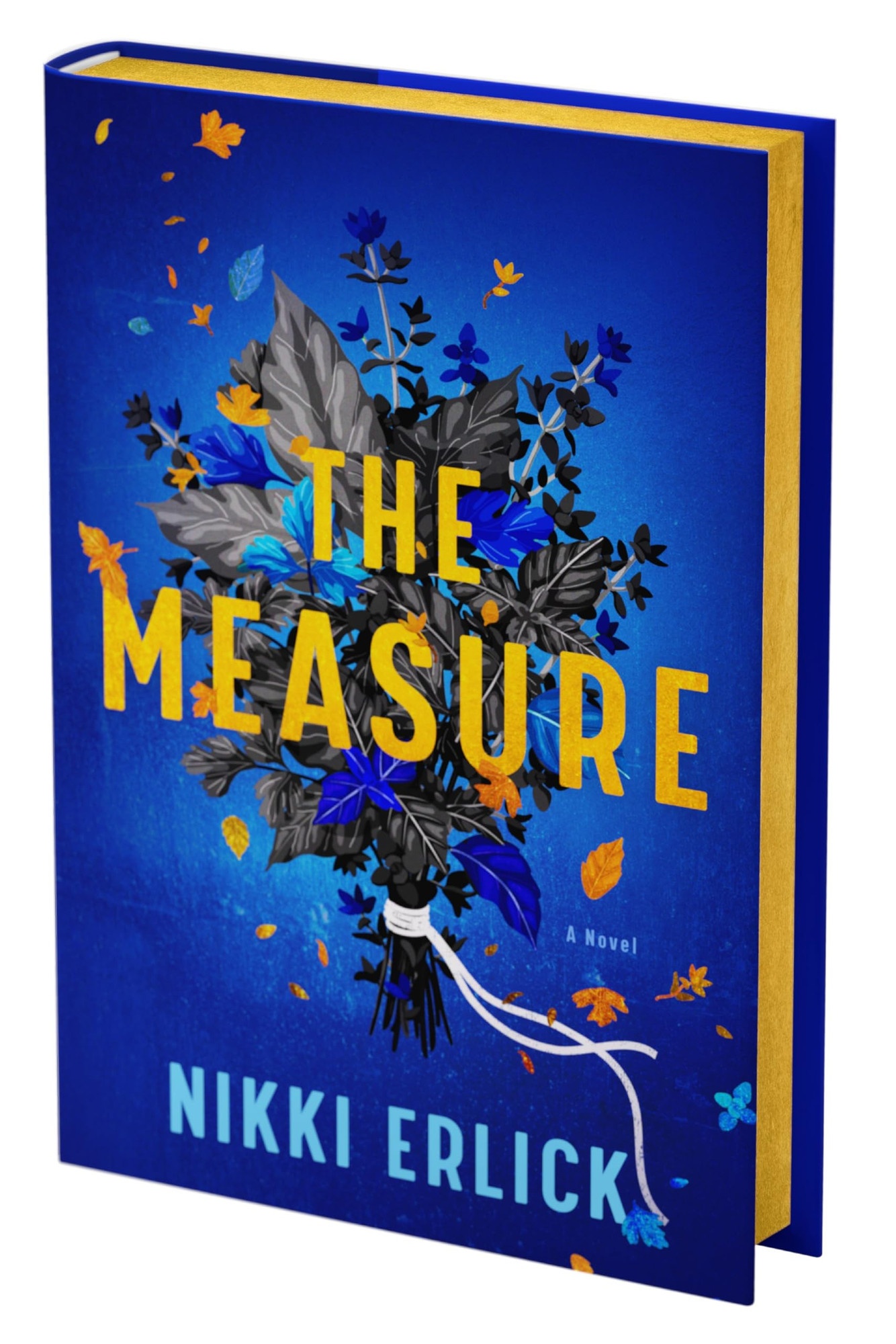 The Measure Deluxe Collector's Edition A Novel